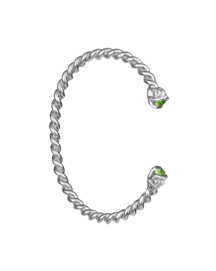 Bracelet Delphis argent